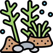 Underwater scene with aquatic plants, rocks, and small bubbles.