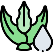 A stylized green vegetable next to a light blue water drop icon.