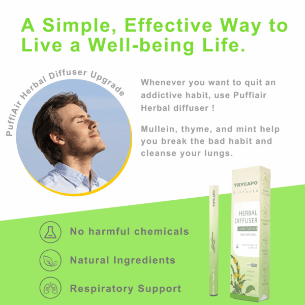 TryCapo™ New Upgrade Mullein Aroma Diffuser - 600 Uses - Image 4