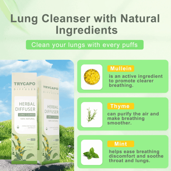 TryCapo™ New Upgrade Mullein Aroma Diffuser - 600 Uses - Image 6